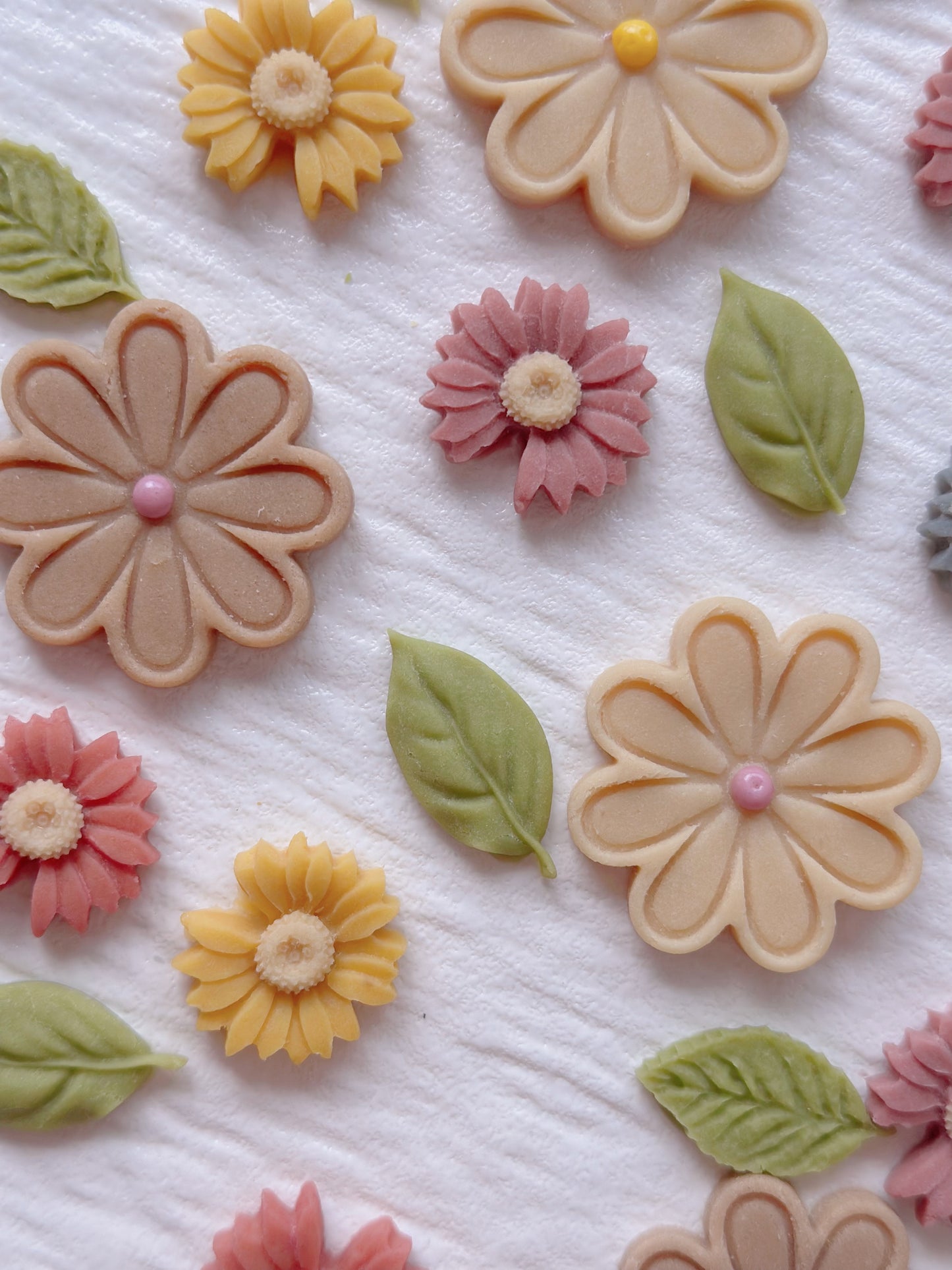 Daisies