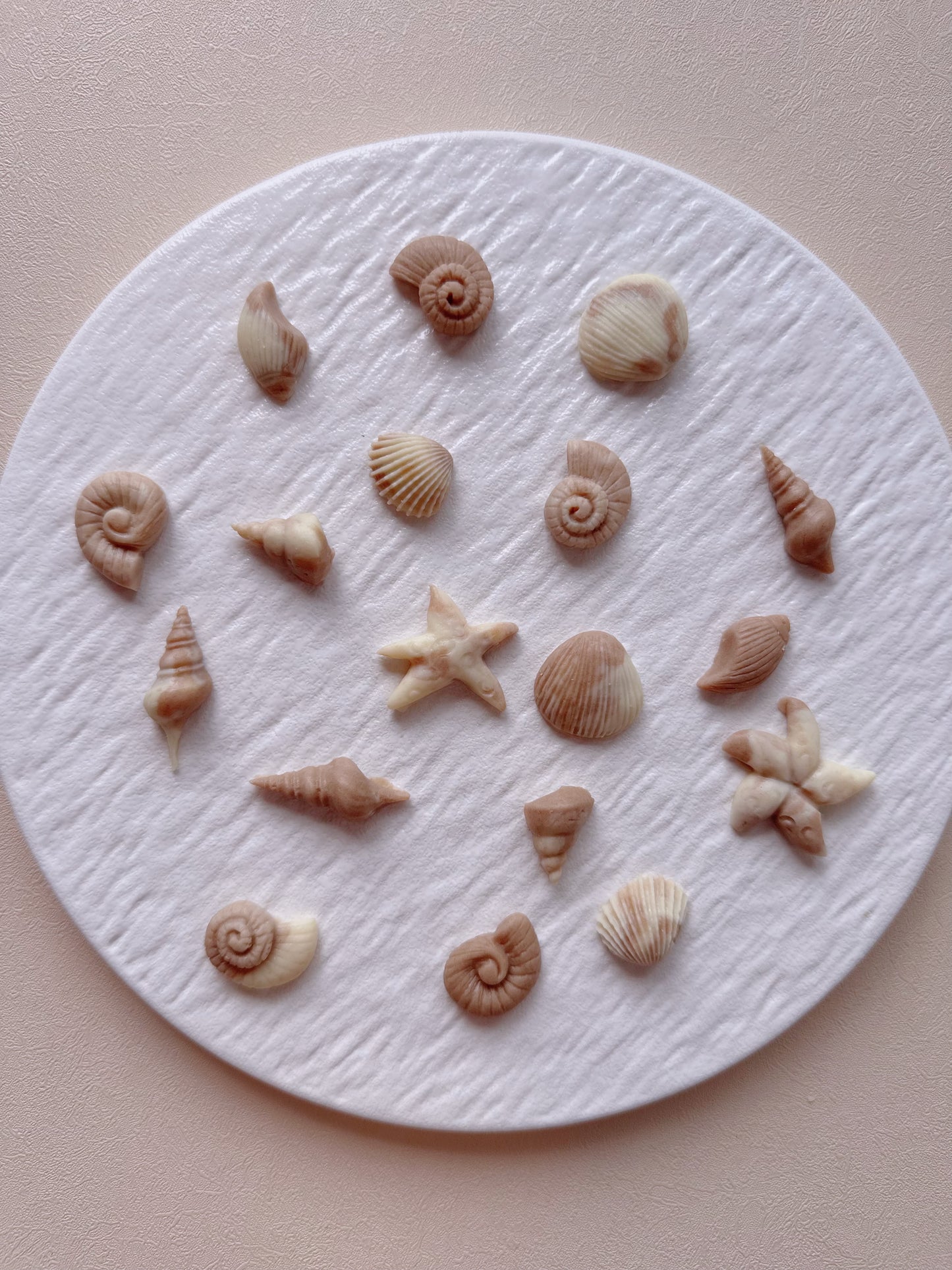 Seashells
